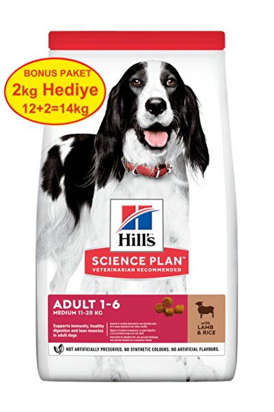 Hill's Hills Kuzu Etli Orta Irk Yetişkin Köpek Maması 12 Kg (+2 Kg Hediyeli)