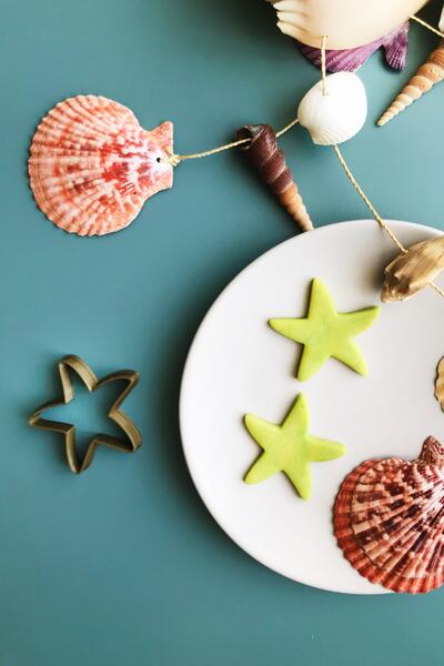 CESTOPİENO قالب بسكويت ستار 6x6 سم / سيراميك، طين بوليمر، بسكويت، عجينة الحلو...