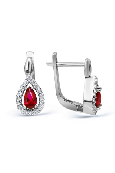 Argentum Concept 925 Ayar Gümüş Zirkon Taşlı Küpe - K023801