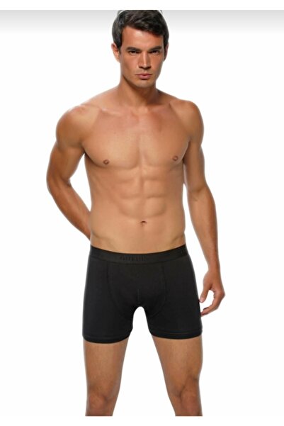 GÜMÜŞ Boxeri negri