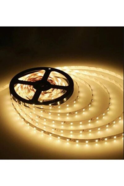 Cata 10 Çipli Iç Mekan Gün Işığı 5 Metre Şerit Led