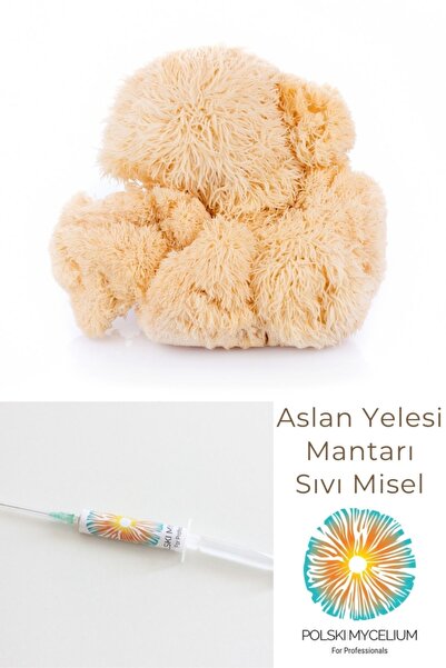 Polski Mycelium Aslan Yelesi Mantarı Sıvı Miseli Sıvı Misel Kültürü Sıvı Mise...