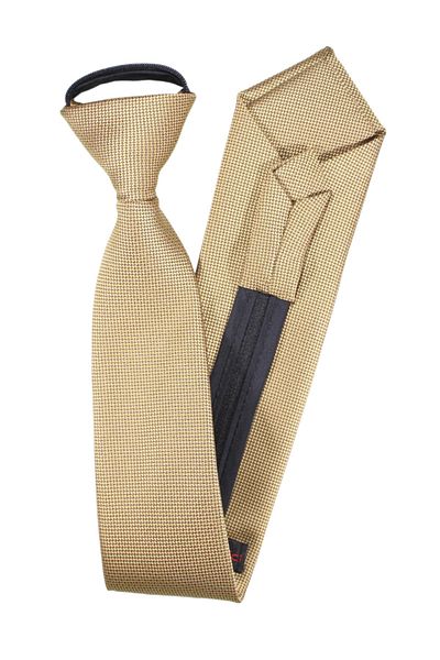 PROKRAVAT Bronze Eyelet Patterned Zippered Tie