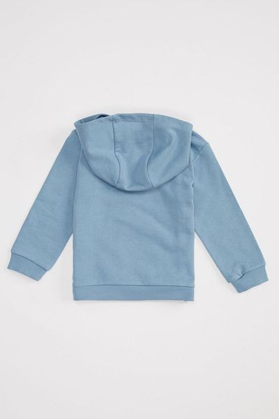 DeFacto Baby Boy Printed Hooded Organic Cotton Sweatshirt