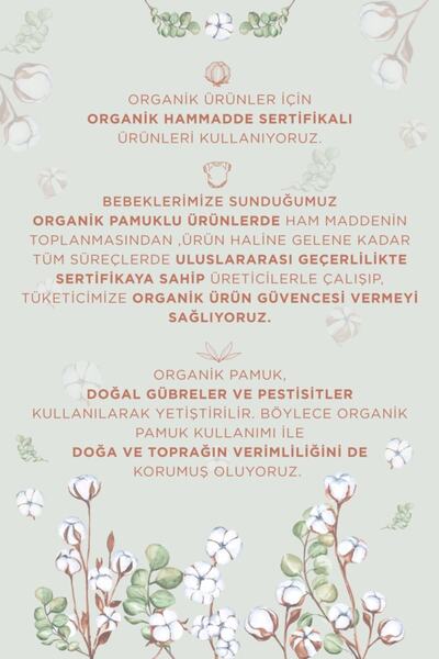 DeFacto Erkek Bebek Baskılı Kapüşonlu Organik Pamuk Sweatshirt