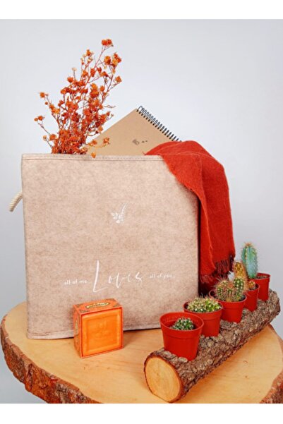 CimriKese Organizator pentru rafturi din pâslă maro