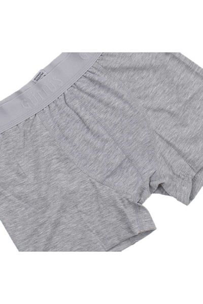 GÜMÜŞ Ανδρικά μποξεράκια Lycra