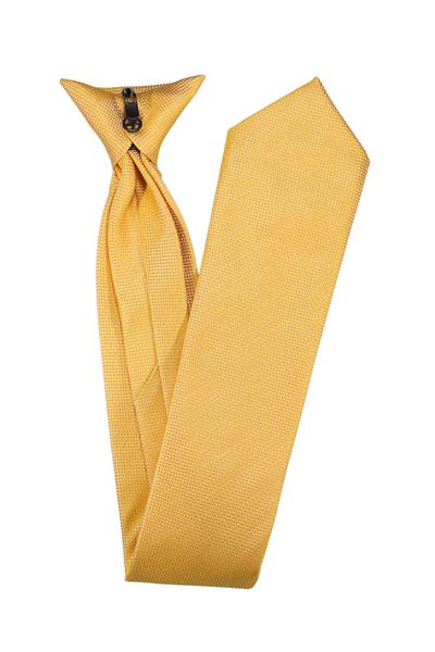 PROKRAVAT Gold Eyelet Clip Tie