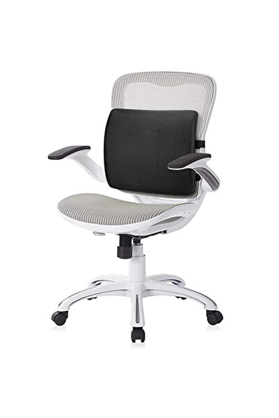 Ankaflex Ortopedik Visko Koltuk Minderi Sırt Destek Yastığı Araç Sandalye Bel...