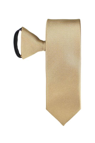 PROKRAVAT Bronze Eyelet Patterned Zippered Tie