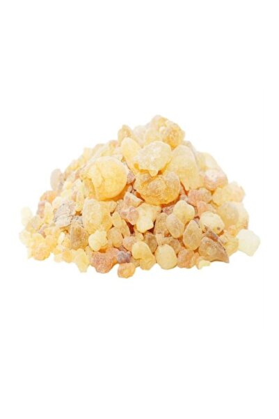 Aktar Store Günlük Sakızı (ak Günlük) Iri 1 Kg