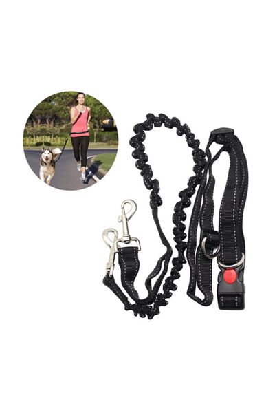 Mixpet Dog Walking Collar - Waist-Tied