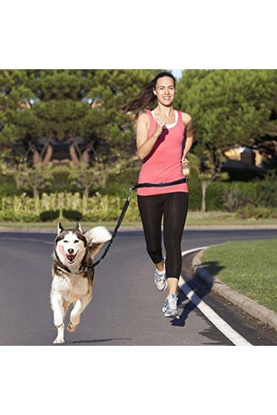 Mixpet Dog Walking Collar - Waist-Tied