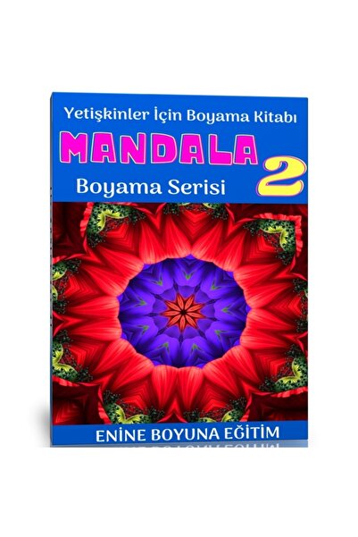 Enine Boyuna Eğitim Coloring Book for Adults Series-2