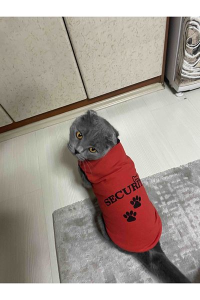 Cat clothing canada clearance