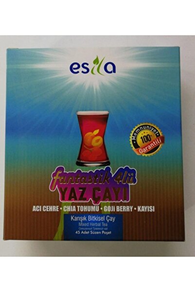 ESİLA Fantastik 4'lü Yaz Çayı