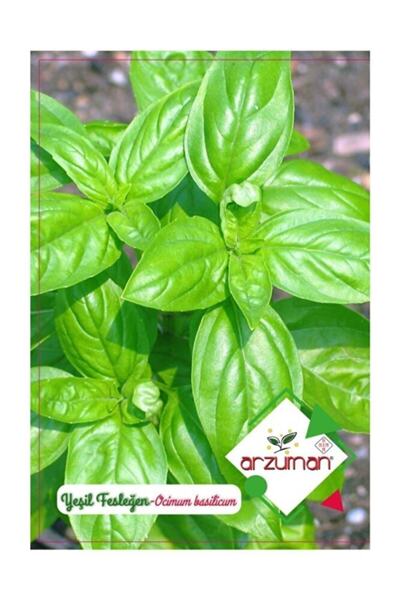 Arzuman Tohum Arzuman Yeşil Fesleğen Tohumu 100 Adet