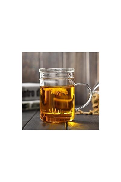 Linan Ware Linanware Cam Kapaklı Demleme Süzgeçli Isıya Dayanıklı Borosilikat Camdan Kupa Bardak 350 ml