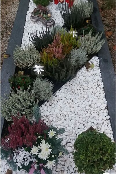Asenya Beyaz Dolomit Taş 5 Kg 2,5-4 Cm Bahçe Süs Taşı Dekoratif Taş Beyaz Taş...