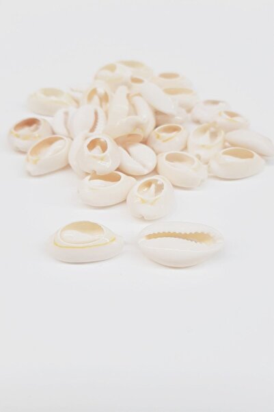 ADS Ποικιλία από χάντρες κρέμας από κοχύλια θάλασσας – Χάντρες