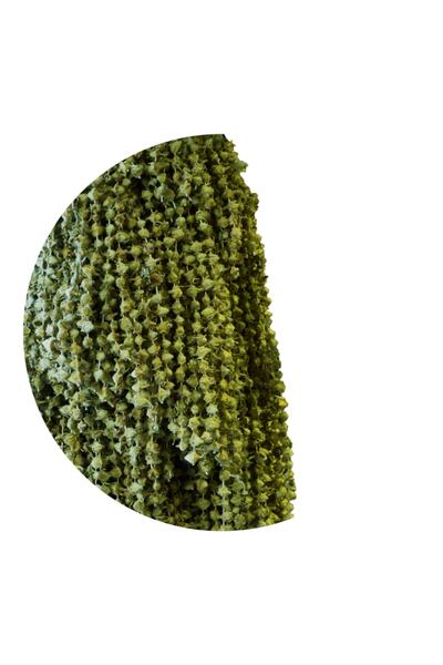 Envai Kuru Çiçek Bamya 100 Gr (minicik Minicik)