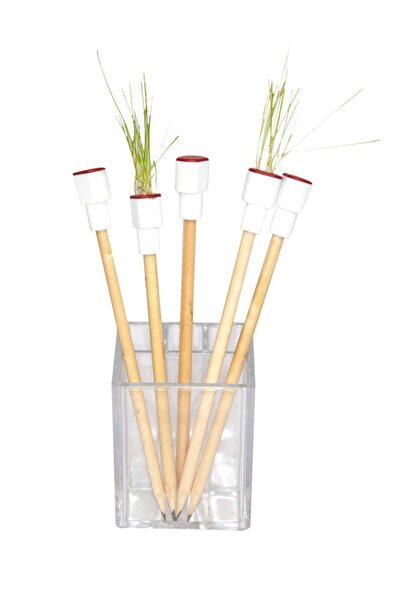 Paste Notes Grass Pen