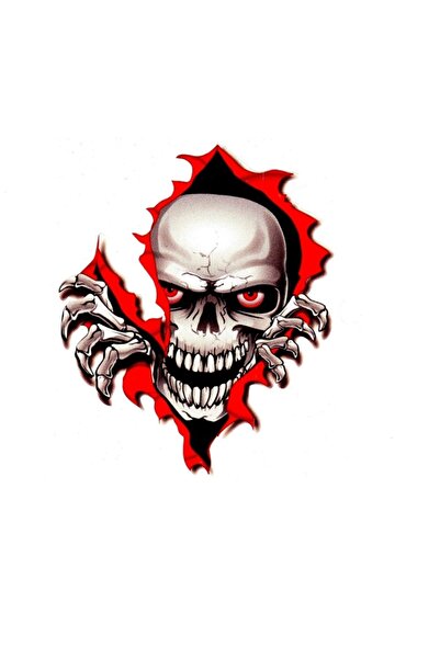 BsElektronik ملصق هيكل جمجمة - ملصق هيكل جمجمة ( 530685788 )