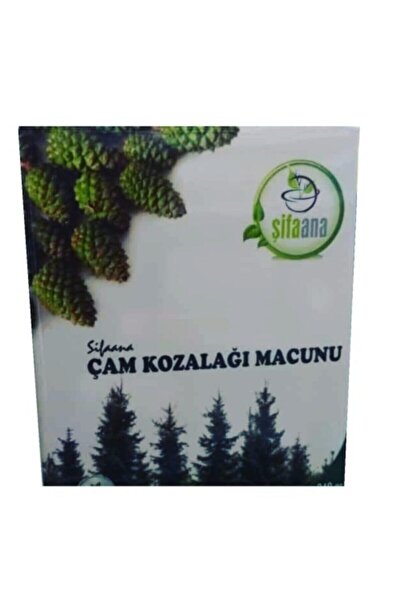 ŞİFAHANE Şifaana Çam Kozalağı Macunu