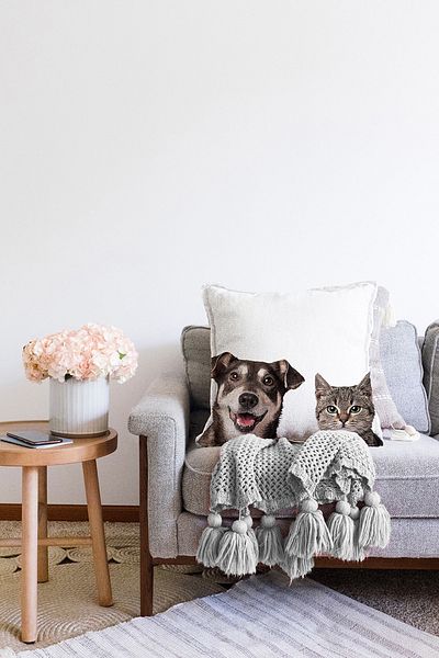 Realhomes Drăguț câine și pisică cu model drăguț modern, cu două fețe, tricotat Raschel, husă de pernă