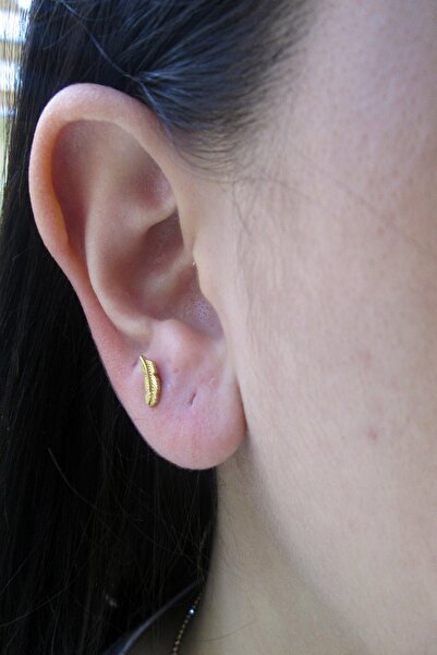 ŞAMLI ERDOĞAN Kadın 14 Ayar Altın Yaprak Tragus Piercing Küpe