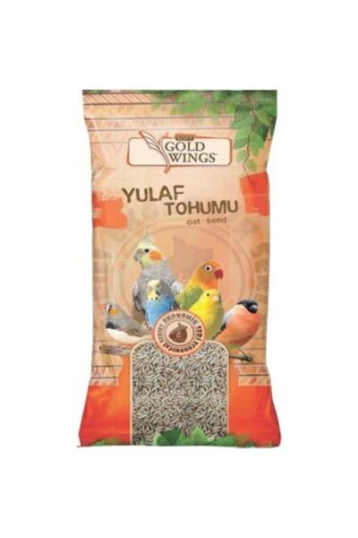 Gold Wings Yulaf Tohumu