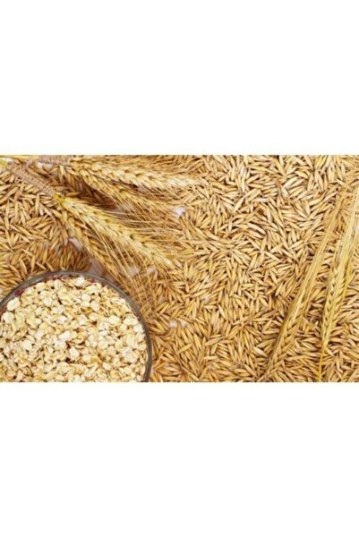 Vivid Soyulmuş Yulaf 1 Kg