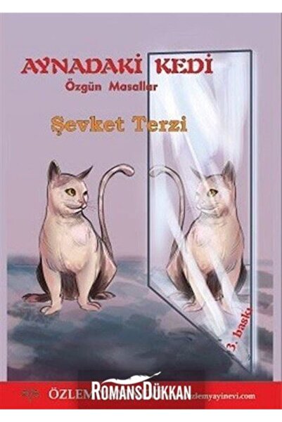 Aynadaki Kedi Özgün Masallar