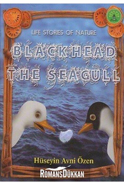 Büyülü Fener Yayınları Black Head The Seagull & Life Stories Of Nature