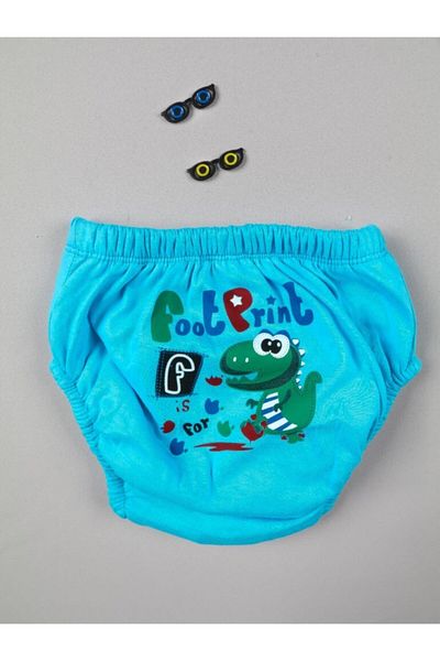 Babix Baby Blue Patterned Toilet Training Panties (There May Be Differences in Patterns)