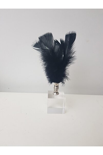 Arose Ab Ev Dekorasyon Siyah Tüy Gümüş Ağız Ev Ofis Dekoru