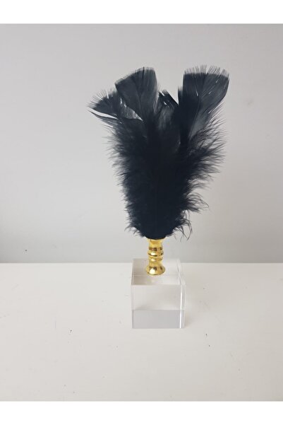 Arose Ab Ev Dekorasyon Siyah Tüy Altın Ağız Ev Ofis Dekoru