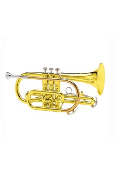 Conn Selmer Kıng Dıplomat Kornet Mod.605w