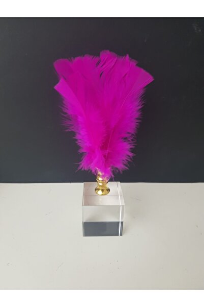 Arose Ab Ev Dekorasyon Altın Ağız Fuşya Tüy Ev Ofis Dekoru