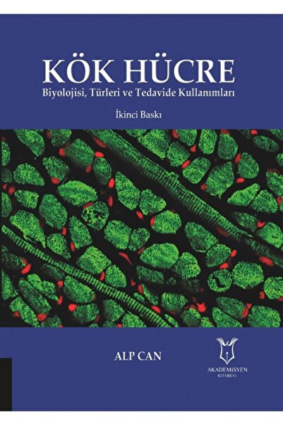 Akademisyen Kitabevi Kök Hücre - Alp Can 9786257409629