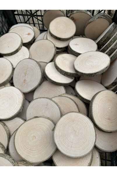 Ahşaphane39 Dışbudak Kütük Dilimi,100 Adet,çap Ortalama 7-8 Cm Arası , Kalınl...