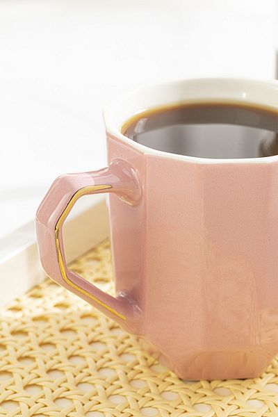 English Home Adela New Bone - 350 Ml Light Pink Mug