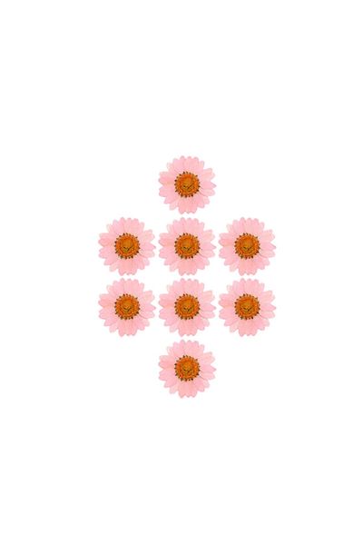 Getshopmini Αποξηραμένο Daisy Pink 8 Τεμάχια