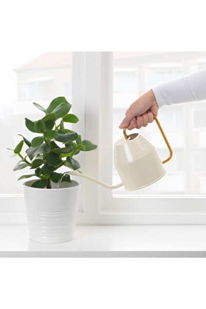 ODİ HOME Adapator pentru plante de flori, crem - culoare aurie, 0,9 Lt