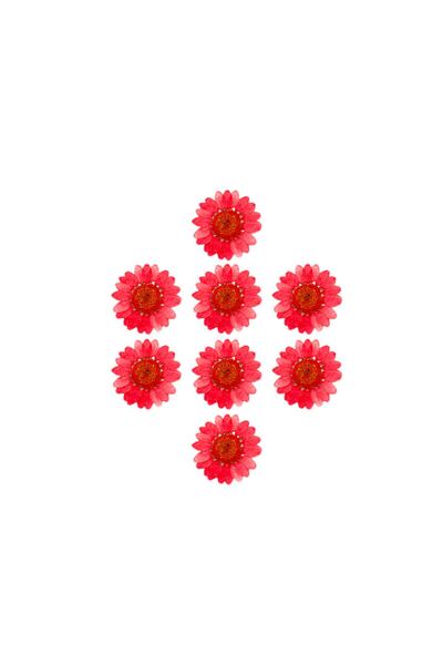 Getshopmini Kurutulmuş Papatya Kırmızı 8 Adet