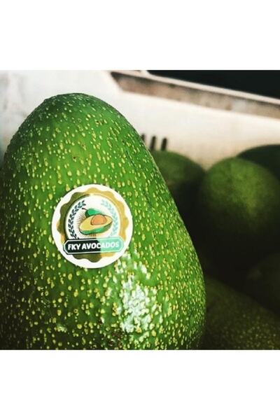 FKY AVOCADOS 1 Kg Avokado (4-7 ADET) (ORTALAMA 140-250 GRAM)