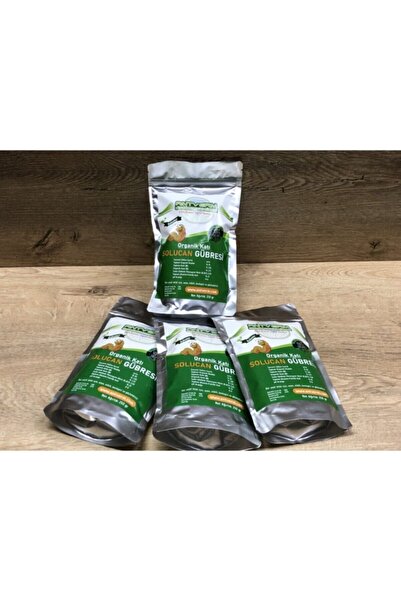 Antverm 250 Gr Saksı Bitkileri Açelya Orkide Sukulen Kaucuk Atatürk Çiceği Deve Tabanı Için Gübre