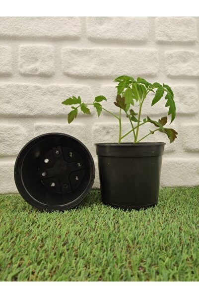 Asenya Üretim Saksısı 15 Adet 1 Lt Siyah Üretim Saksısı Yuvarlak Saksı Plasti...