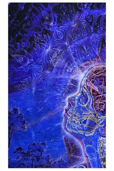 Dünyadan Hediyeler Skeleton Themed Buff Neck Collar Bandana Blue No:152