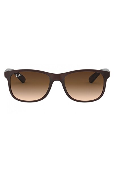 Ray-Ban Rb4202 55 6073-13